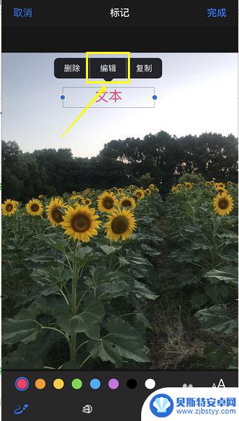 苹果手机照片上怎么添加文字 iPhone如何在照片上添加文字