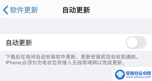 使iphone保持最新 自动更新还是手动更新 iPhone SE 激活时选择了自动更新怎么取消