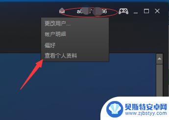 steam怎么展示艺术作品 steam艺术展览设置方法