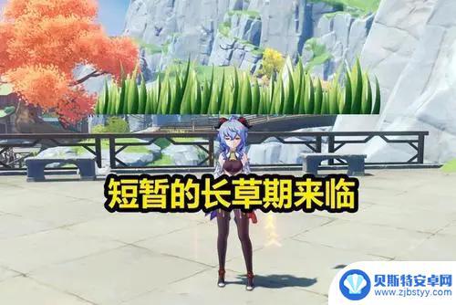 原神长草什么意思 原神长草期有什么活动