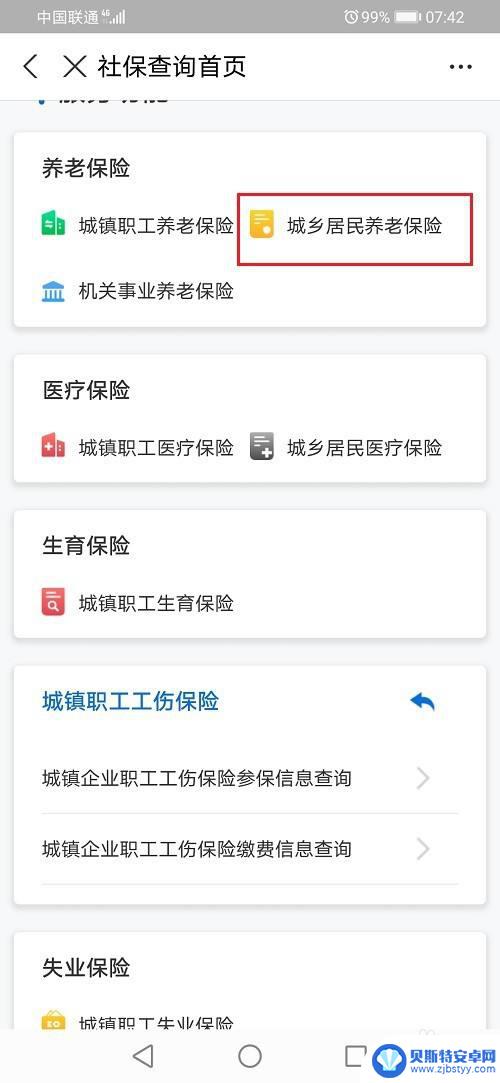 手机上怎么查询居民养老保险缴费记录 城乡居民养老保险缴费记录查询注意事项