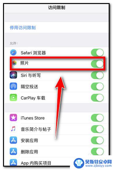 苹果手机设置隐私相机里面没有选项 苹果手机隐私设置照片选项无法勾选