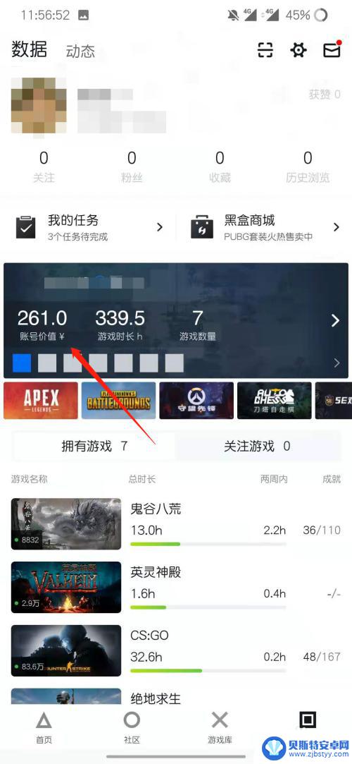 小黑盒steam怎么估值 看steam账号值多少钱的指标是什么