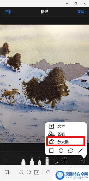 苹果手机如何放大照片细节 苹果手机照片局部放大方法