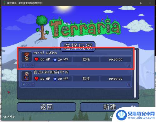 terraria怎么改人物名字 泰拉瑞亚如何在名字中添加符号