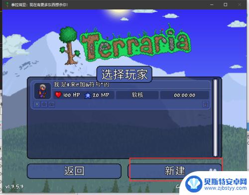 terraria怎么改人物名字 泰拉瑞亚如何在名字中添加符号