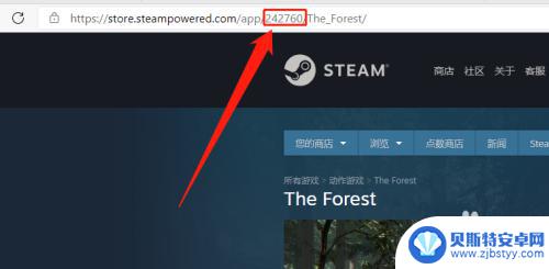 steam游戏昵称怎么查找 Steam平台如何查看游戏的唯一id